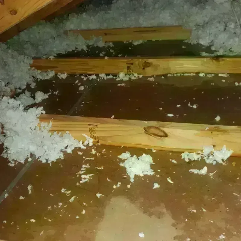 Attic Water Damage in Bellflower, CA