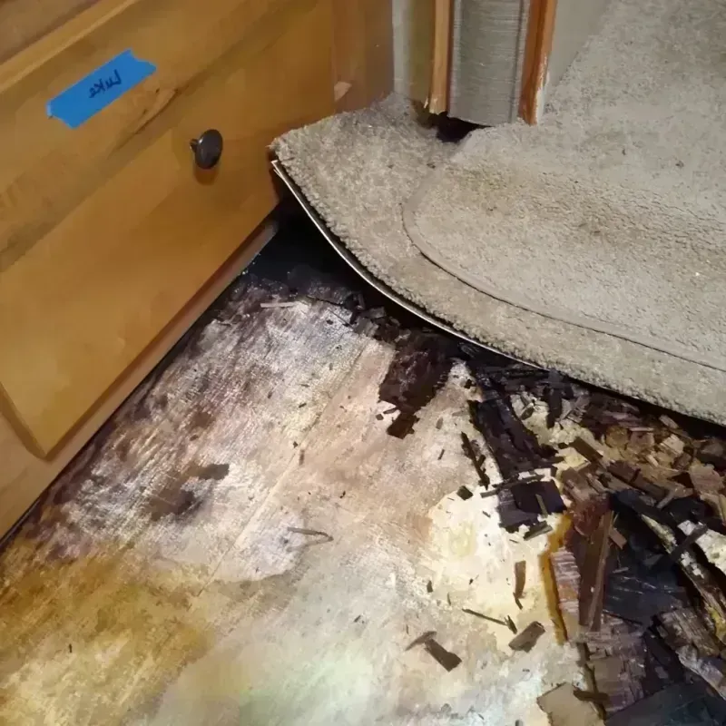 Best Wood Floor Water Damage Service in Bellflower, CA